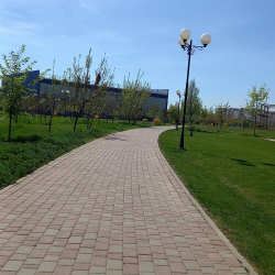 Волгоград Автор: Лина