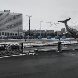 Мурманск Автор: Кристина Мурманск Автор: Кристина