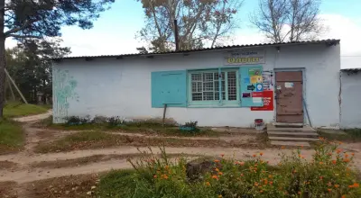 Алтайская альтернатива: как мы с мужем живём в своём доме у леса, не имея миллионов